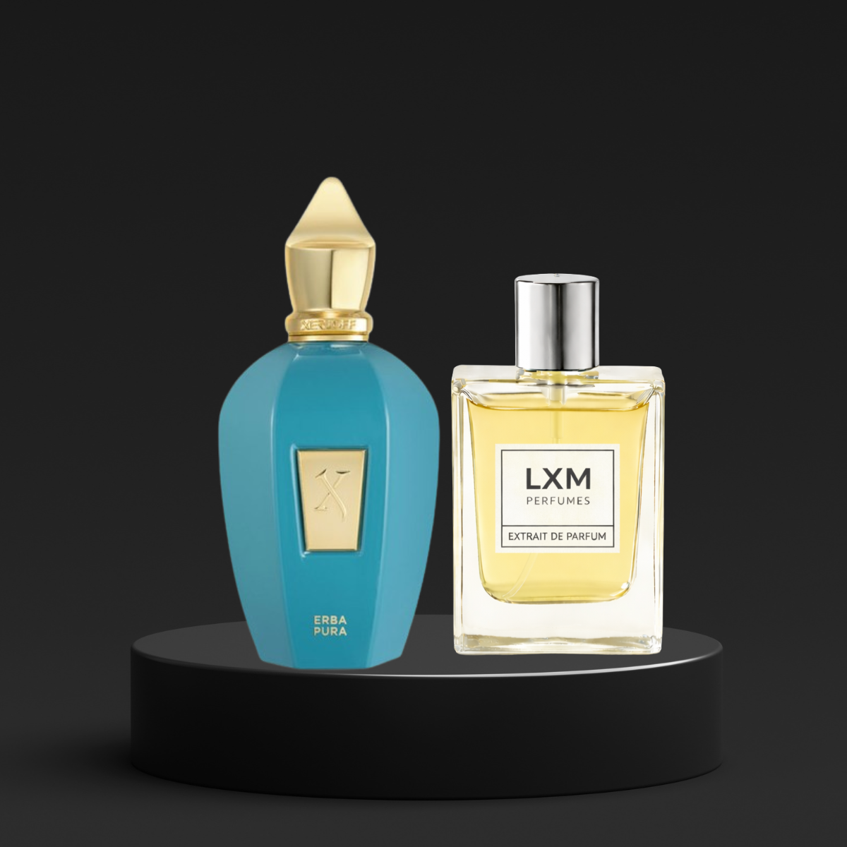 LXM 311 | Inspired by Xerjoff Erba Pura