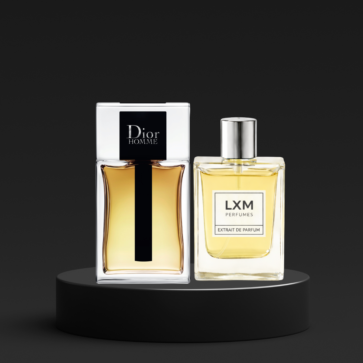 LXM 069 | Inspired by Dior Homme