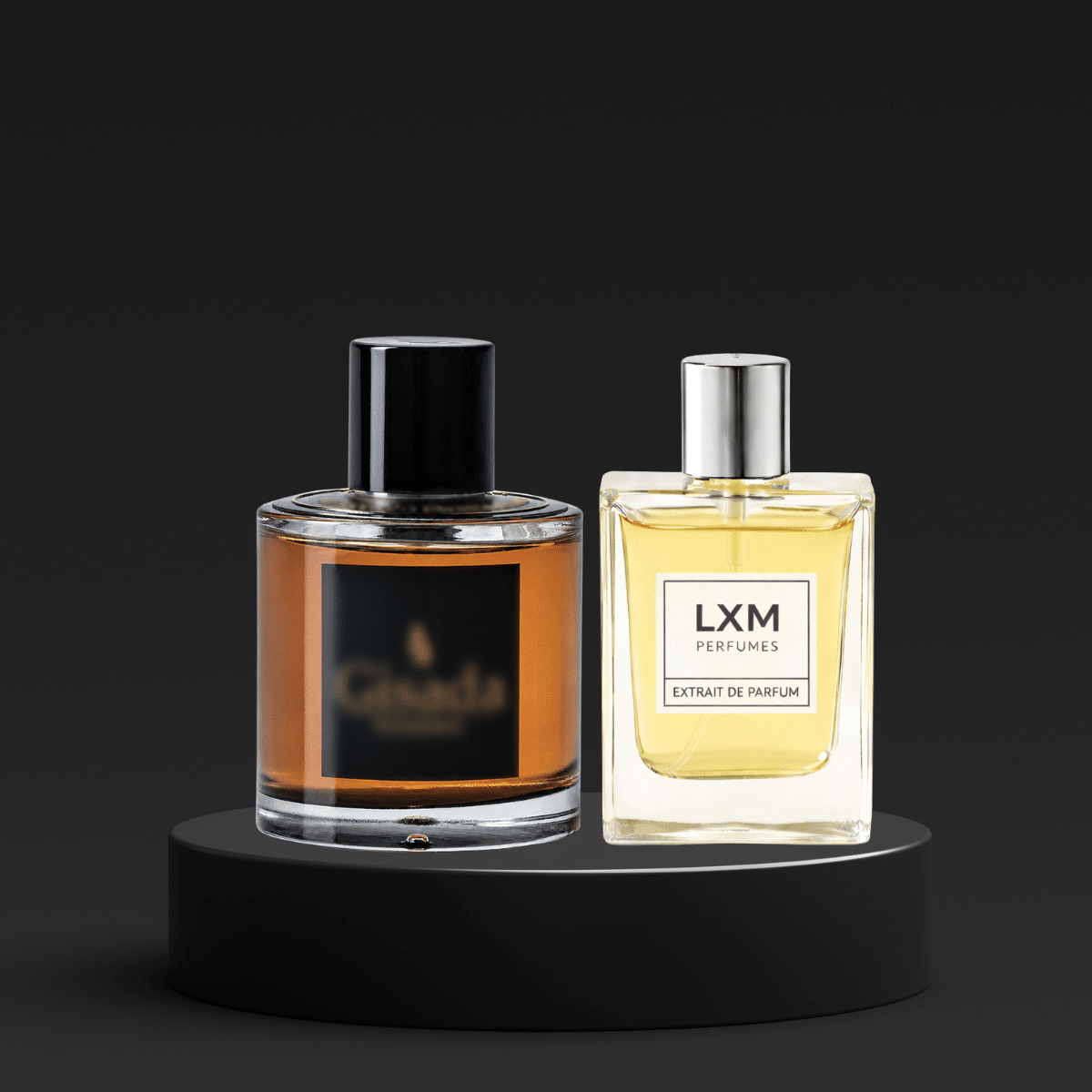 LXM 575 | Inspired by Gisada Ambassador