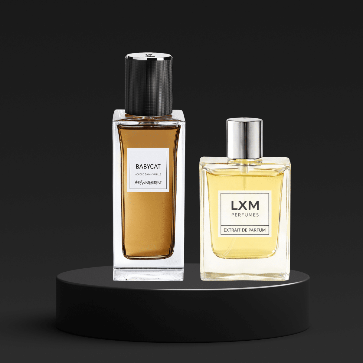 LXM 356 | Inspired by YSL Babycat